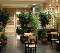 Hotel Le Dauphin
